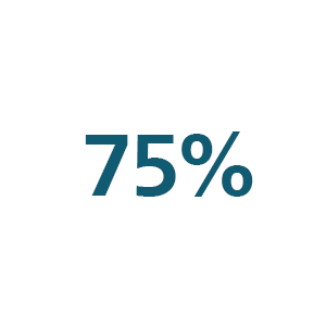 75 percent icon