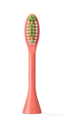 Miami color brush heads